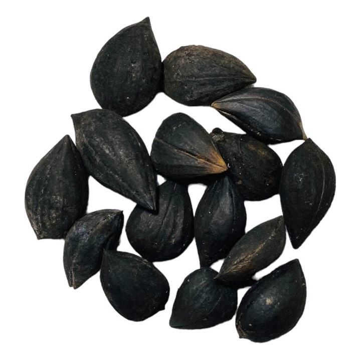 7 Fava Exú Semente Assentamento Umbanda Candomblé Promoção
