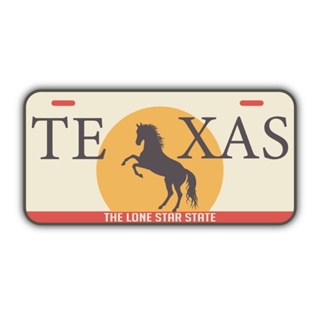 Placa Quadro Carro Texas - Decoração em Oferta na Shopee