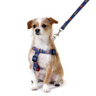 Peitoral Super Homem - Liga Da Justiça - Super Pet em Oferta na Shopee