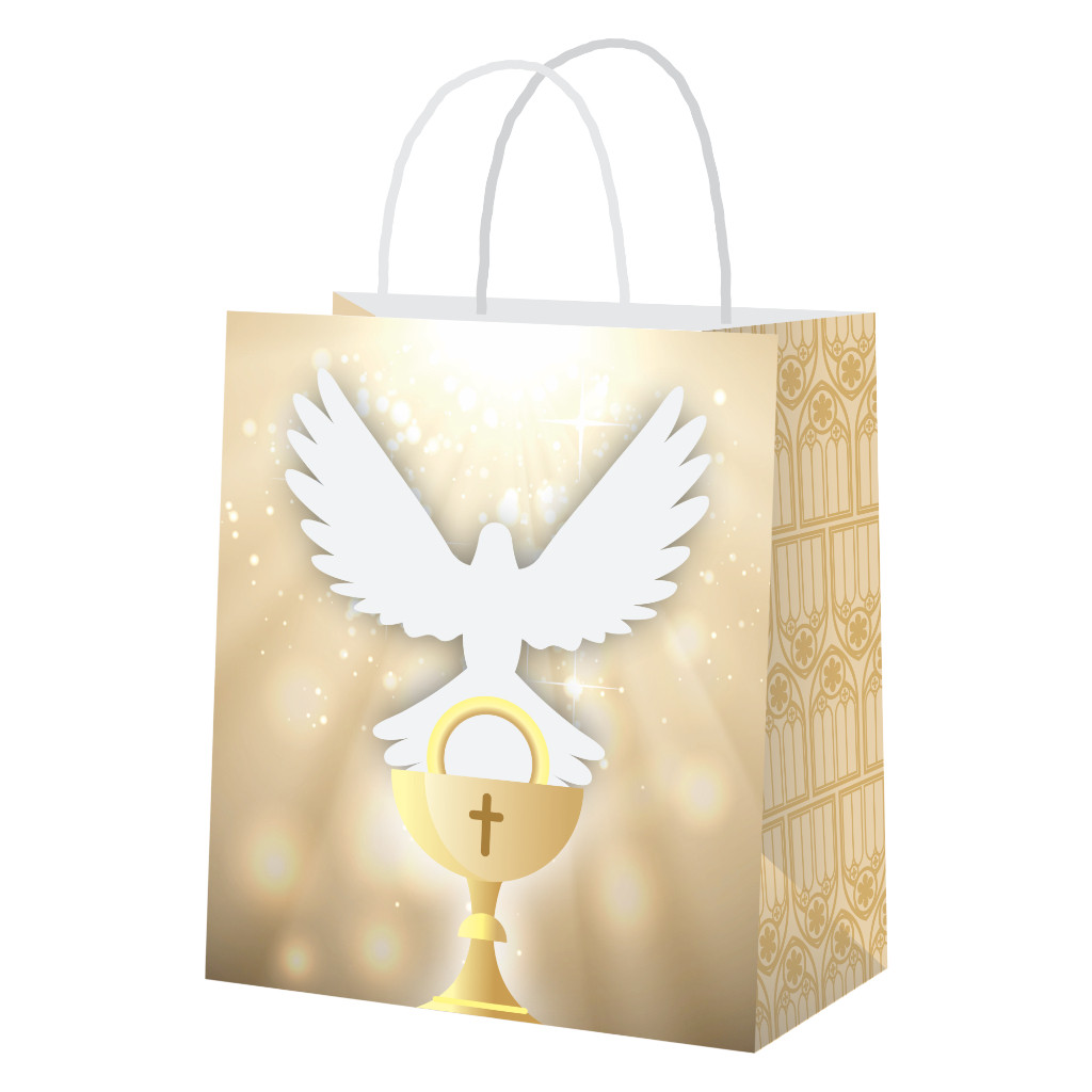 Kit 20 Sacola de Papel Batizado 18x22 Lembrancinha Batizado Espírito Santo em Oferta na Shopee