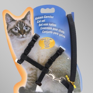 Coleira para Cachorro Gato Pet Peitoral com Guia 1,2m Ajustável Pequeno Colorido c/ Mosquetão Seguro em Oferta na Shopee