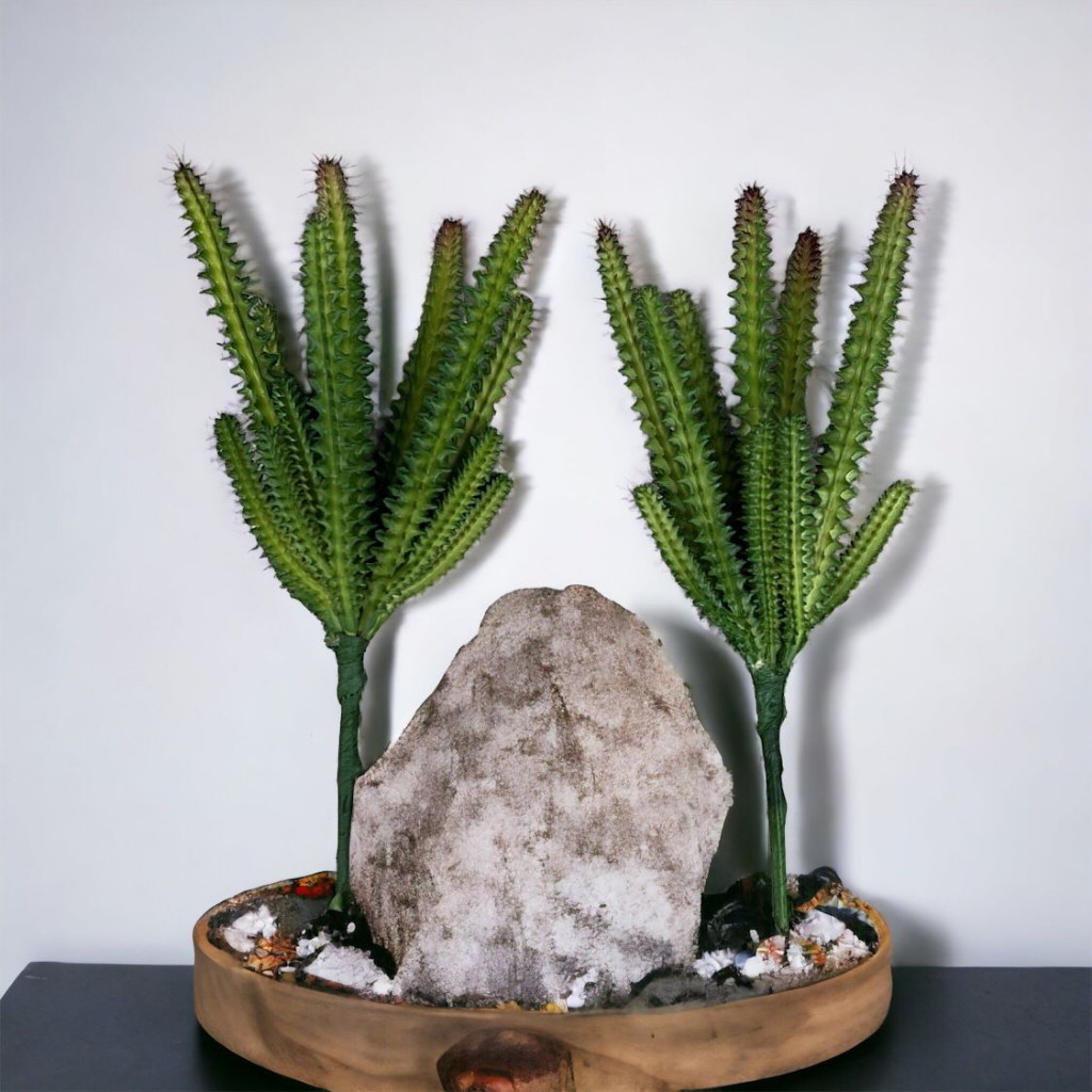 2 Suculenta Artificial Cacto Verde Para Decoração Decoração