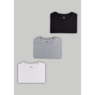 Kit Com 3 Camisetas Femininas Slim Básicas Hering em Oferta na Shopee