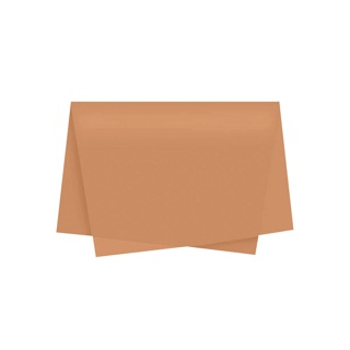 Papel de Seda - 50x70 - Kraft - 10 unidades - Rizzo em Oferta na Shopee