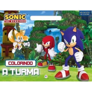 Livro Blocão de colorir Sonic - Colorindo a turma em Oferta na Shopee