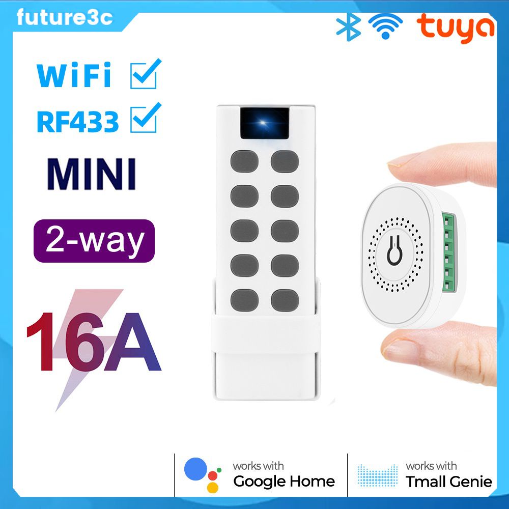 Graffiti WiFi + 433 Switch 16A Smart Double Control Timer Wireless Voice Controle Remoto Kit de retrofit future3c