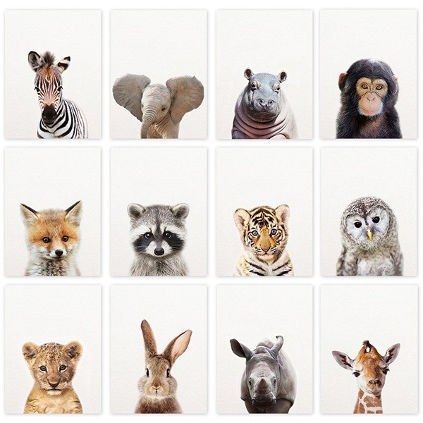 Quadro decorativo3 peças 20x30 animais safari macaco elefante hipopótamo girafa para quarto de crianças bebê
