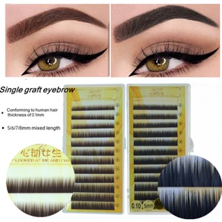 Enxerto Sobrancelhas Naturais 0,10mm Beleza Individual Extensões Falsas De Mink Permanente , 5-8mm Comprimento Misto