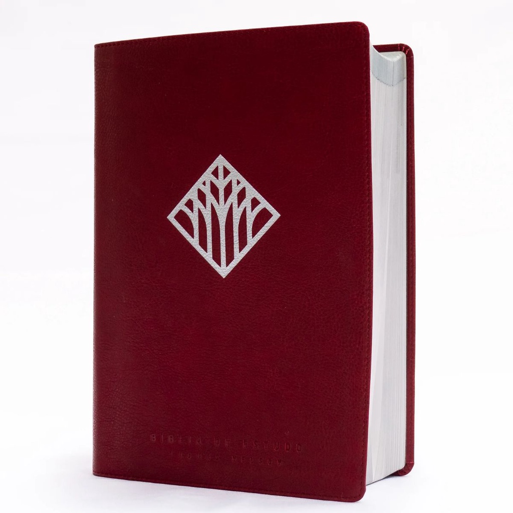 Bíblia De Estudo Thomas Nelson | NVI | Caixa Box | Capa Luxo Vinho em Oferta na Shopee