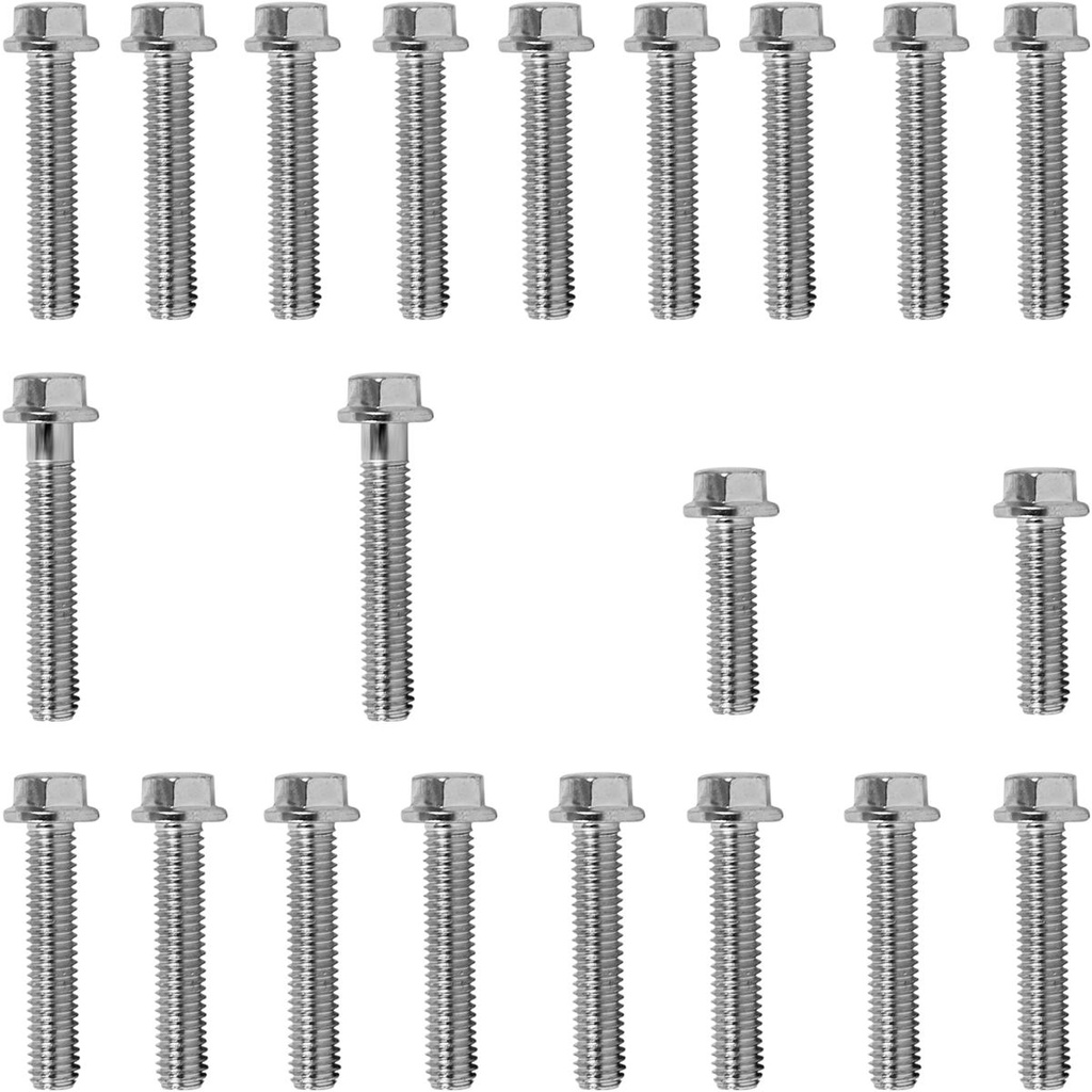 Kit parafusos zincados tampa motor lateral esquerda+direita YS150 YS 150 Fazer 2014 em diante