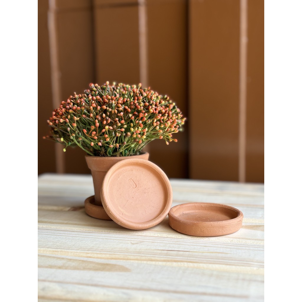 Pratinho De Barro Para Vasos n°0 (kit c/ 12) em Oferta na Shopee