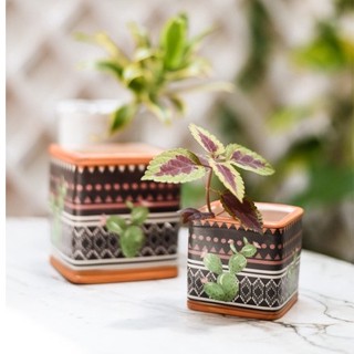 Kit 2 Vaso Cachepot Cacto Suculenta Porcelana