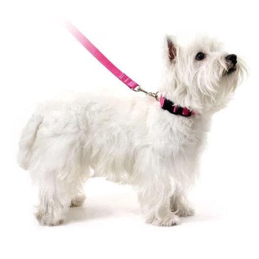 Coleira P/ Cachorros - Rosa - Pets