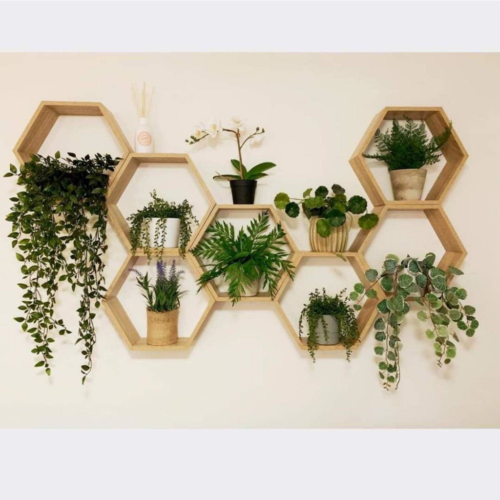 6 Peças De Nichos Decorativo Em Madeira Pinus Para Decoração em Oferta na Shopee