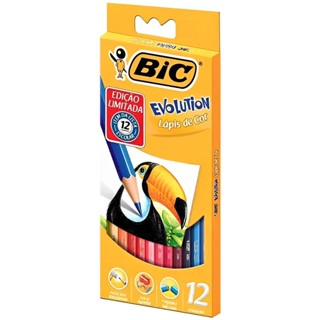 Lápis de cor 12 cores Evolution Bic