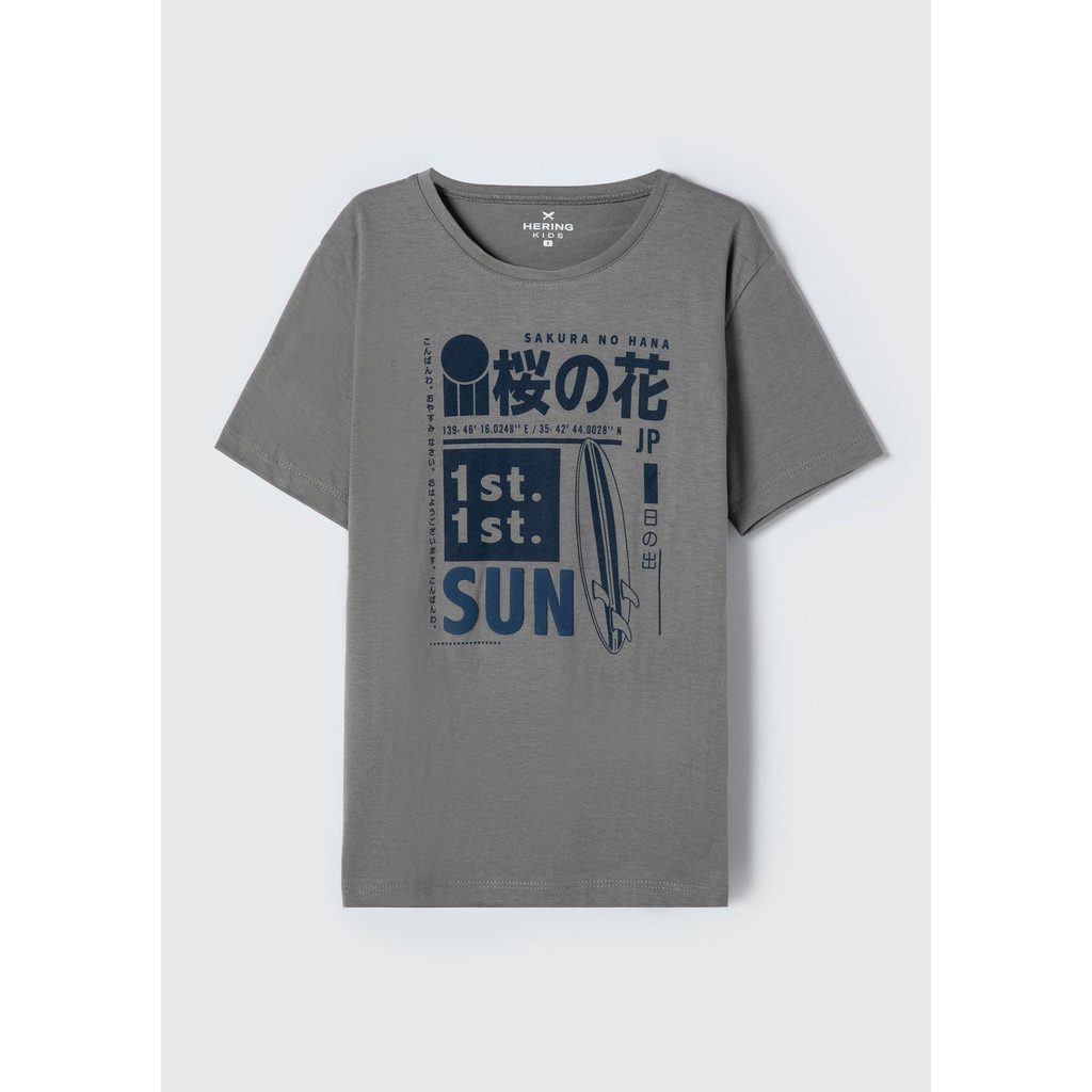 Camiseta Infantil Menino Manga Curta Com Estampa Hering Kids