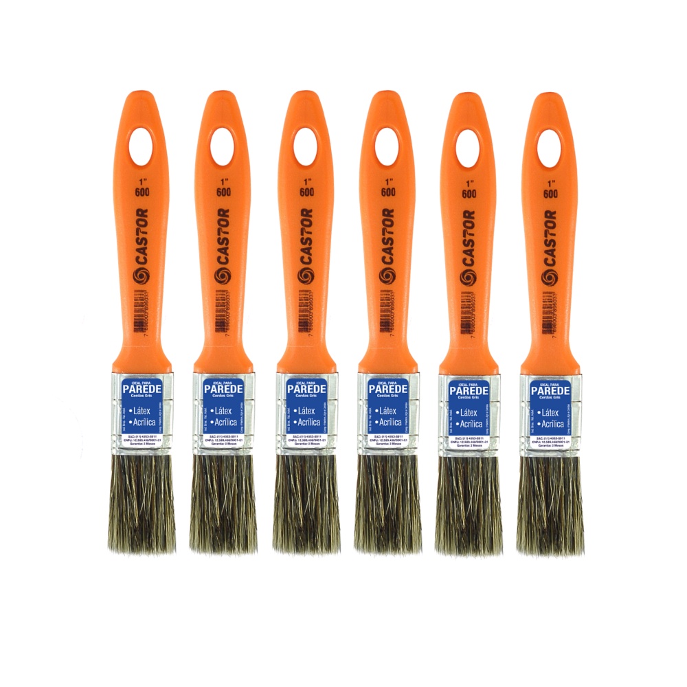 Kit 6 Trinchas 1 Polegada Cerdas Gris Série 600 - Castor em Oferta na Shopee