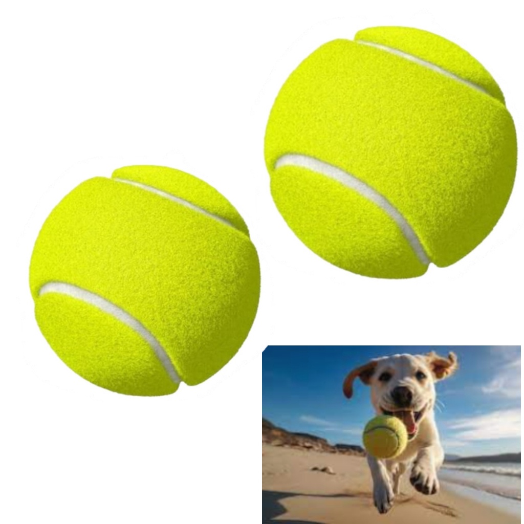 Brinquedo Pet Ar Livre Treinamento Divertido Pet com Bola de Tênis Não Tóxica