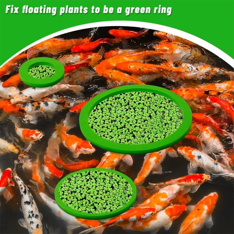 XI Tanque De Peixes Flutuante Planta Curral Habitat Decoração Anéis De Alimentação De Aquário 5 10 Peças