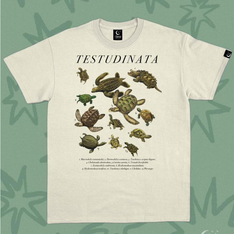 Camiseta 100% Algodão Casual Premium Lançamento 2025 Universo das Tartarugas Envio Imediato em Oferta na Shopee