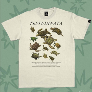Camiseta 100% Algodão Casual Premium Lançamento 2025 Universo das Tartarugas Envio Imediato em Oferta na Shopee