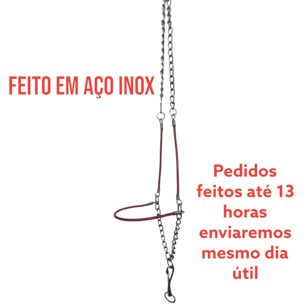 Cabresto Corrente Cavalo Garanhão Mula Resistente oferta Aço Inox