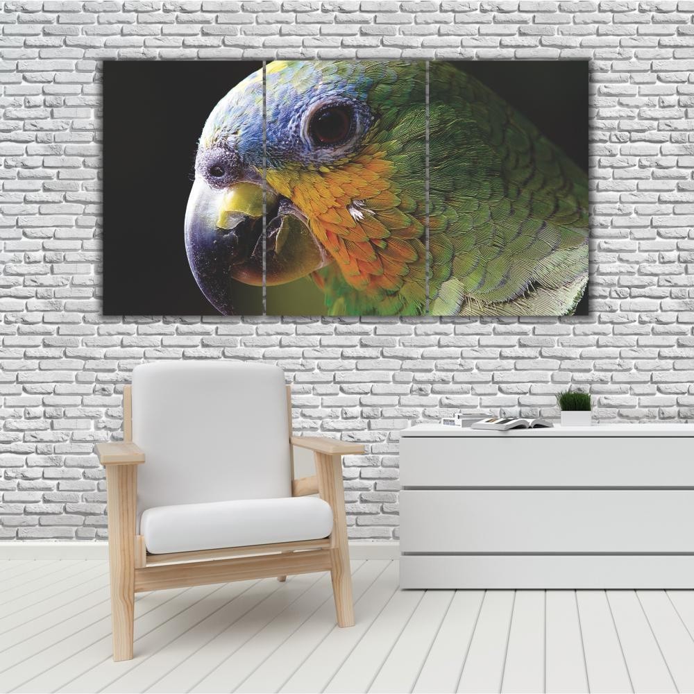 Kit Quadros Decorativo Mosaico  Animais  papagaio loro  3 peças 20x30 mdf alta qualidade