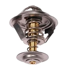 Válvula Termostática Ford Fiesta 2000 a 2014 - 840788 - AVTS06007T82