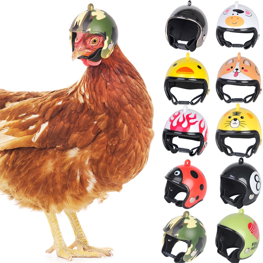 NJ Funny Capacete De Galinha Pequeno Chapéu De Pombos em Oferta na Shopee