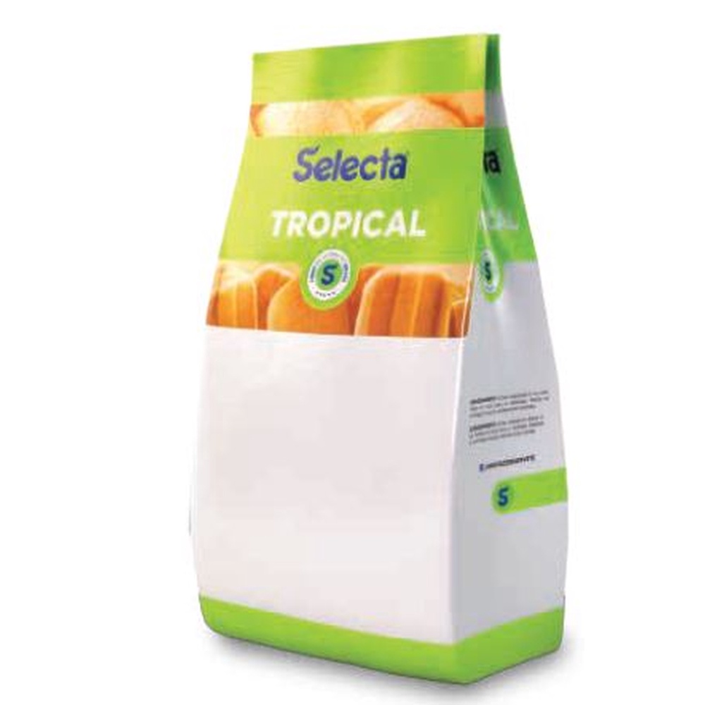 SABORIZANTE PÓ SELECTA TROPICAL AÇAÍ 1KG
