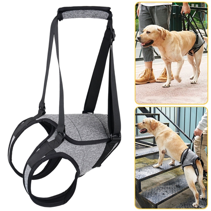 YYS Arnês Durável Para Elevação De Cães Grandes , Estilingue De Estimação Suporte De Pernas Traseiras