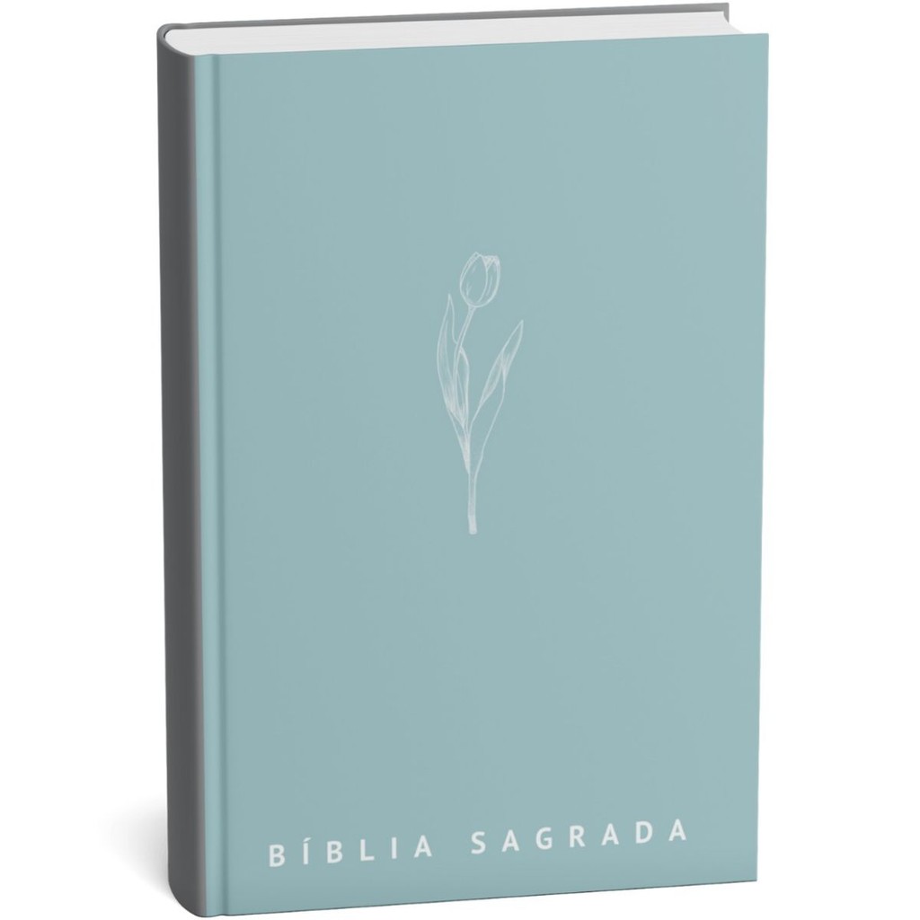 Bíblia Sagrada | Nova Versão Internacional | Letra Normal | Tulipa - Books & Magazines