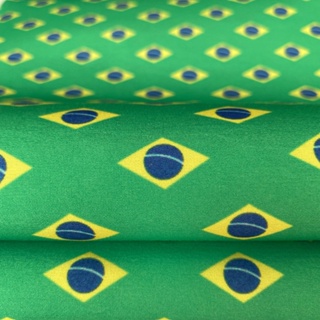 Lonita Bandeira do Brasil Bora Bora (24x39cm) - 1 unidade em Oferta na Shopee