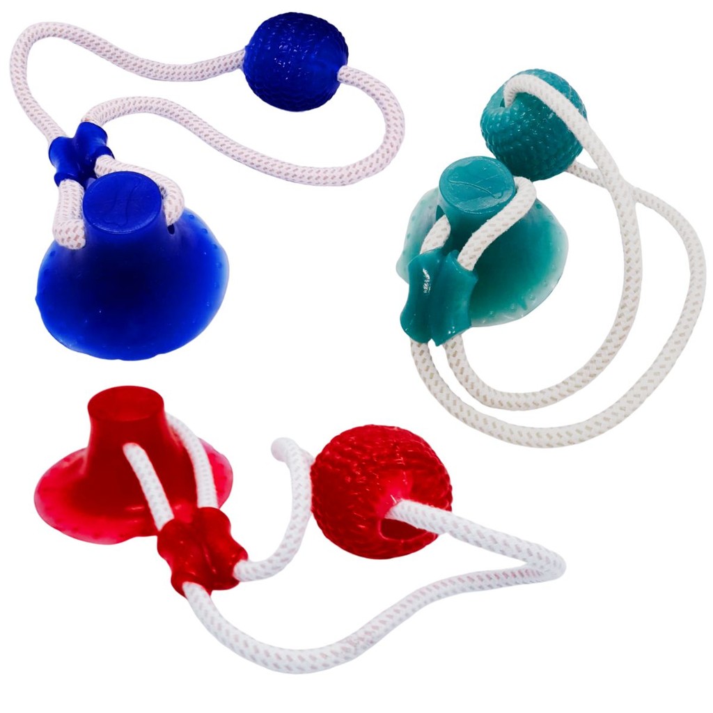 Brinquedo Interativo Ventosa Push Ball Mordedor para Cachorro Cães Pet Silicone com Corda Bola
