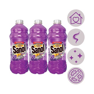 Kit Com 3 Desinfetante Lavanda Sanol 2L