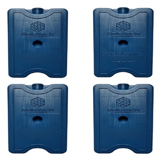 Placa Gelo-x  Gel Reutilizável 400ml Kit C/ 4 Unid 16x10x2,5 em Oferta na Shopee