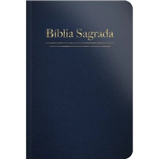 Bíblia Sagrada | ARC | Letra Grande | Capa Dura Azul em Oferta na Shopee