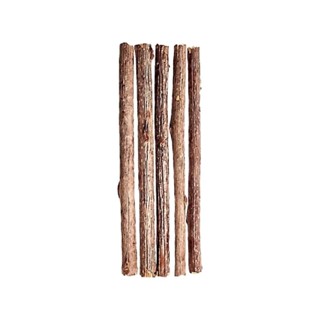 Kit 5 Unidades Matatabi Varas De Catnip Limpa Dentes