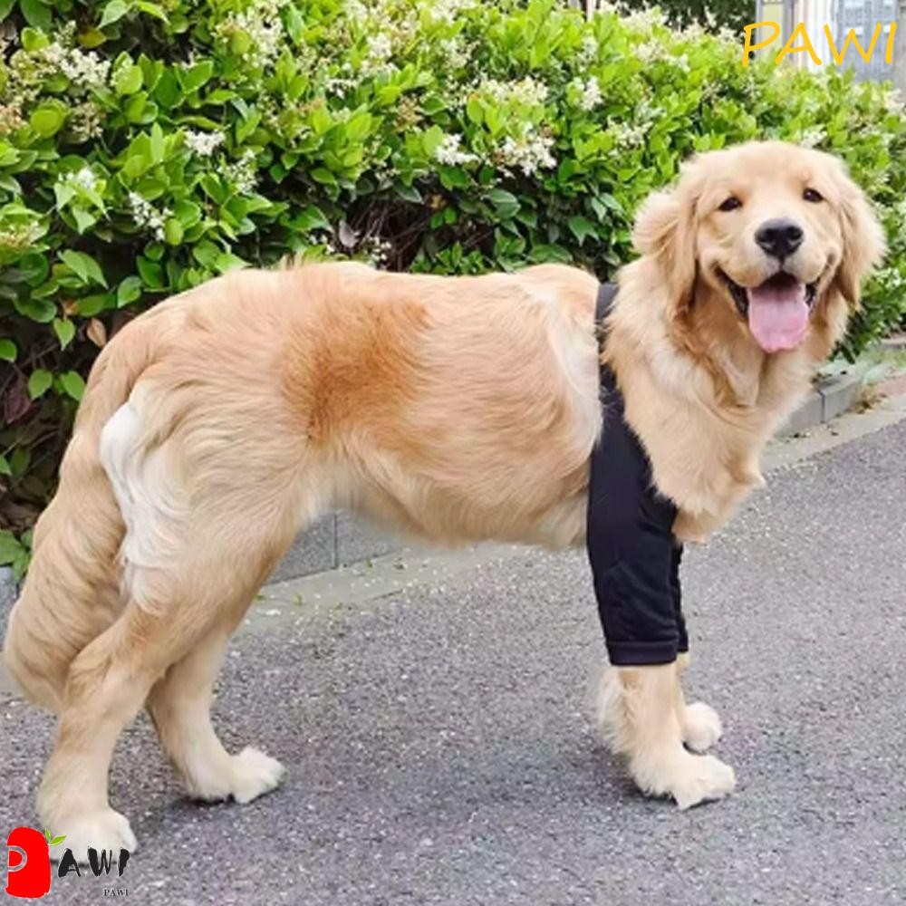Protetor De Cotovelo Para Cachorro PAWI , Mangas Cães Com Padrão De Desenho Animado De Algodão , Joelheiras Macias Anima