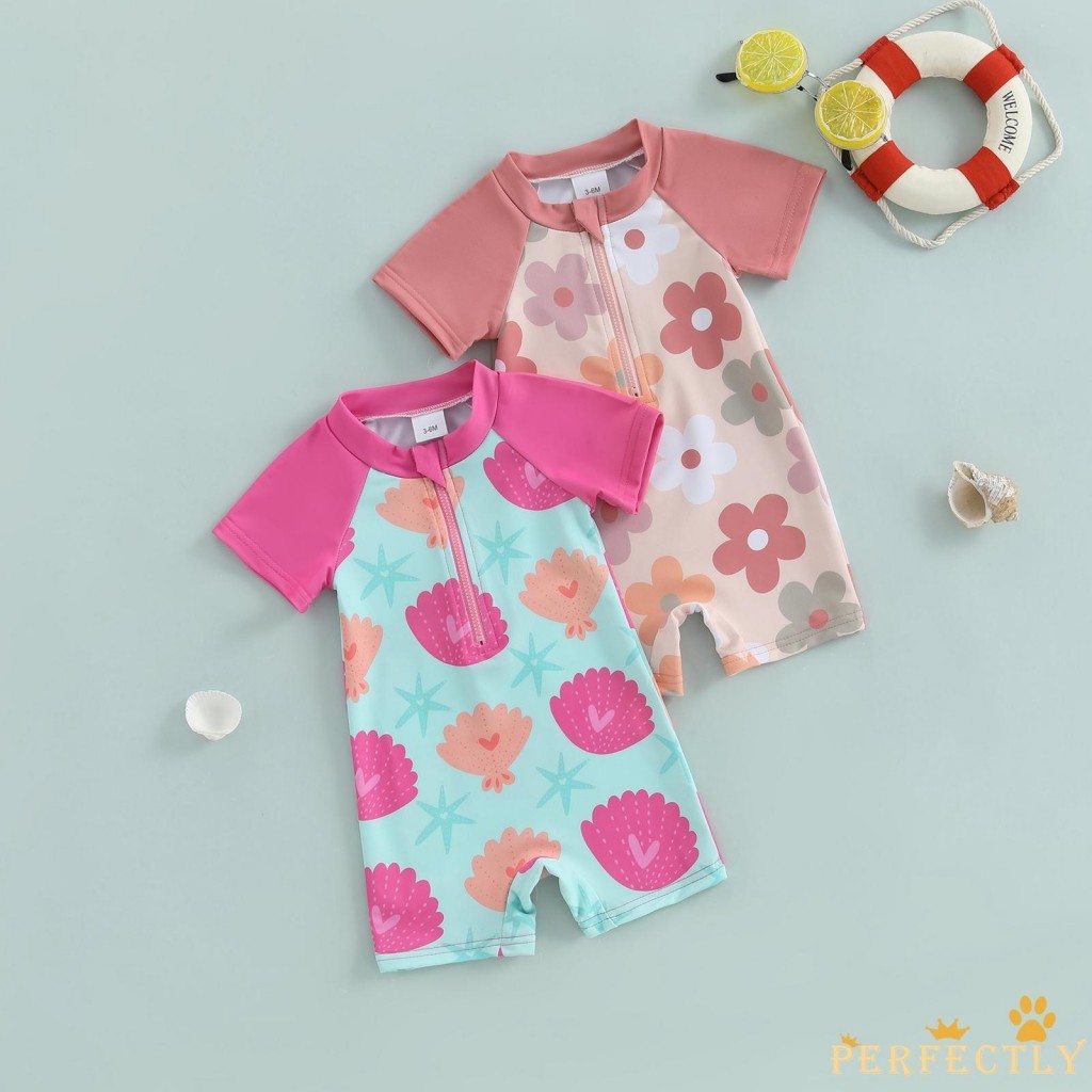 Estrela do Mar Redonda: Onde Comprar | BuscaProdutos