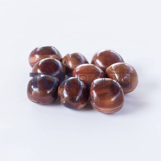Olho De Boi C/ Furo - Semente Natural Artesanato - 10 Unidades em Oferta na Shopee