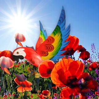 Kit 4 Araras com asa aberta de pendurar Decoração Madeira em Oferta na Shopee