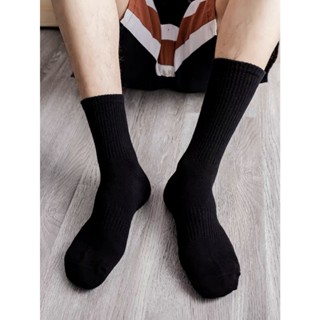 Kit 6 e 12 Pares Meia Masculino Cano Alto Basica 40-46