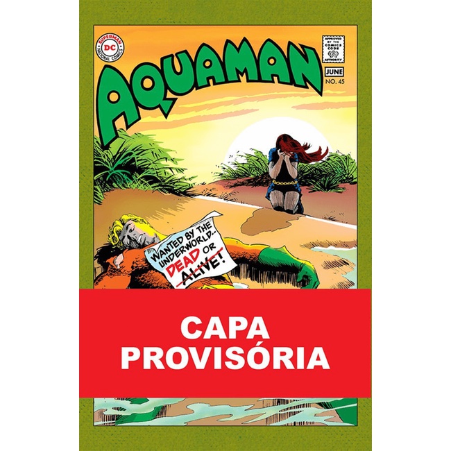Livro - Aquaman: A Busca Por Mera - Novo/Lacrado