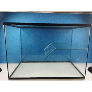 aquaterrário aquário para tartaruga 43 litros 50*35*25 em Oferta na Shopee
