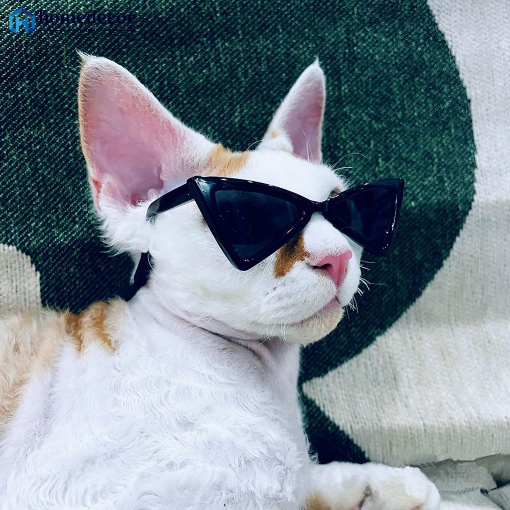 Lovely Pet Eyeglasses Multicolor Óculos Triangulares Moda Gato Frio Fotos Cachorro Acessórios Produtos YJ107