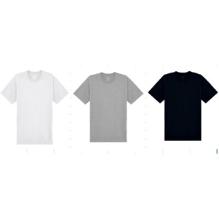 Kit 3 Camisetas Básicas Masculina de Algodão Malwee