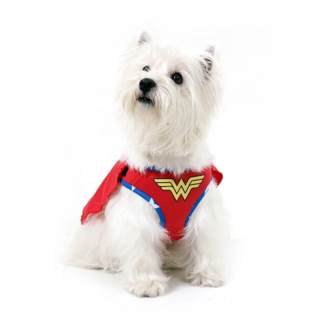 Peitoral Guia Pet Mulher Maravilha Liga Da Justiça Original em Oferta na Shopee