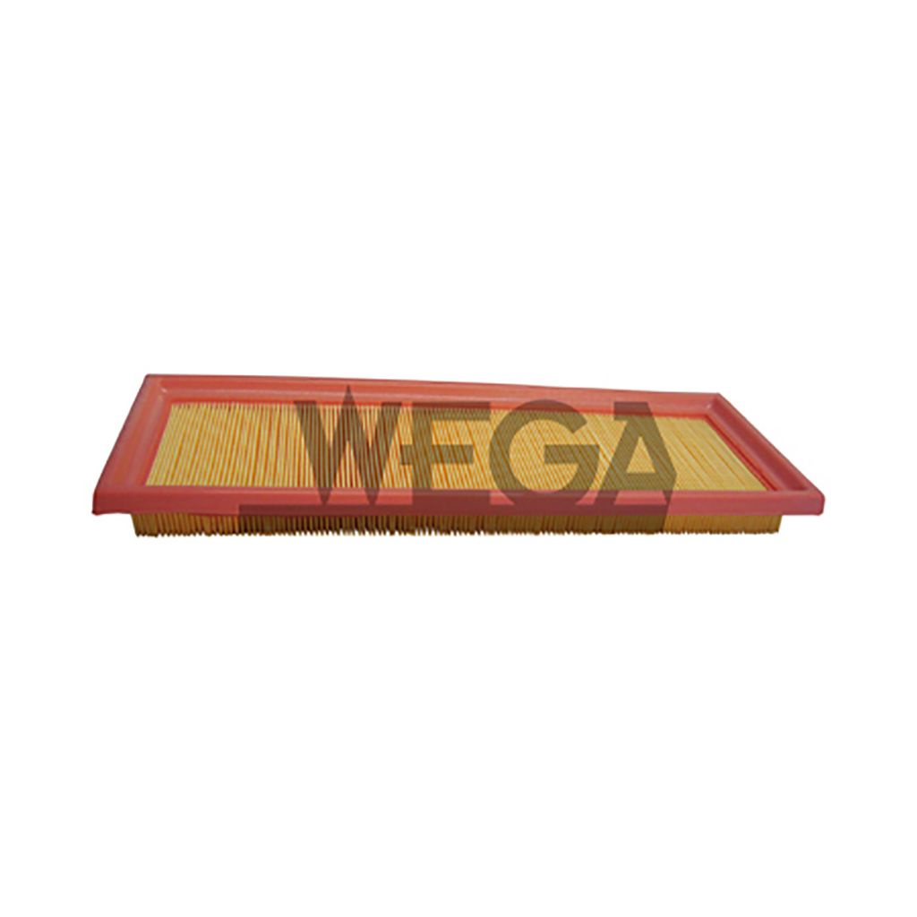 Filtro Ar Ford Ecosport 2003 a 2006 - 161376 - FAP9008