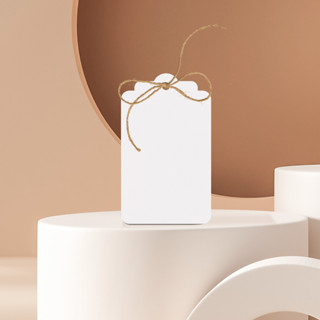 Tag- Branca Lisa- 10 Unid. em Oferta na Shopee